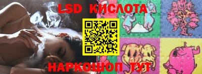 прущие грибы Братск