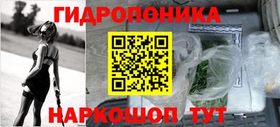 крисы Брянск