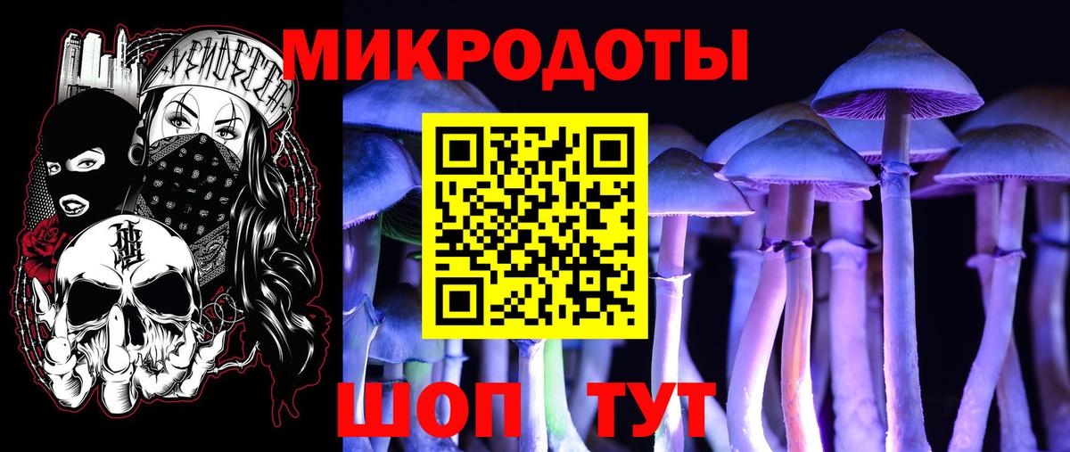 Псилоцибиновые грибы GOLDEN TEACHER Вичуга