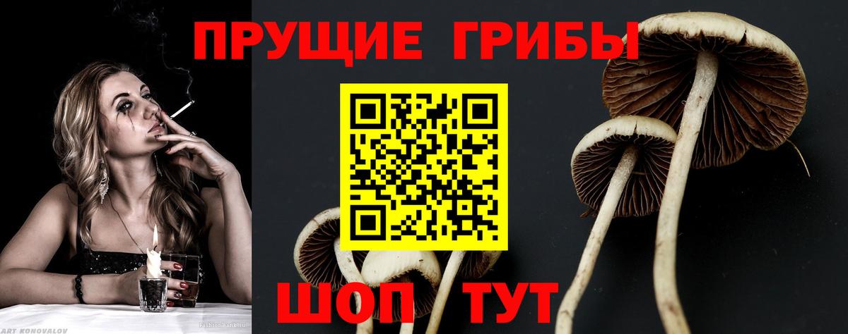 Вичуга  Галлюциногенные грибы MAGIC MUSHROOMS  Вход с VPN 